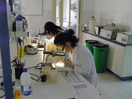laboratorio
