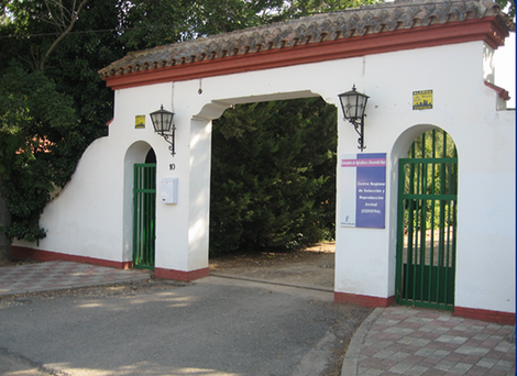 Foto Entrada Cersyra