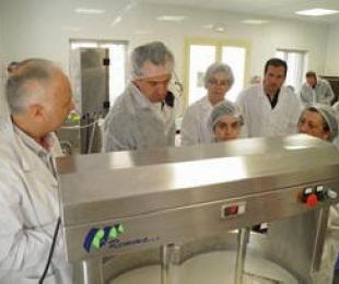 Formación Cersyra