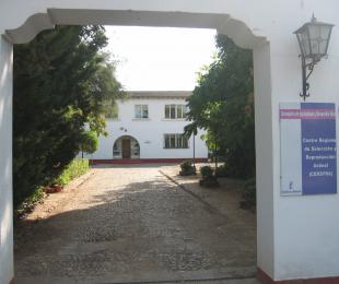 Edificio CERSYRA