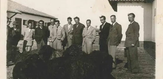 Grupo antiguo