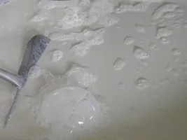 Suero de la leche